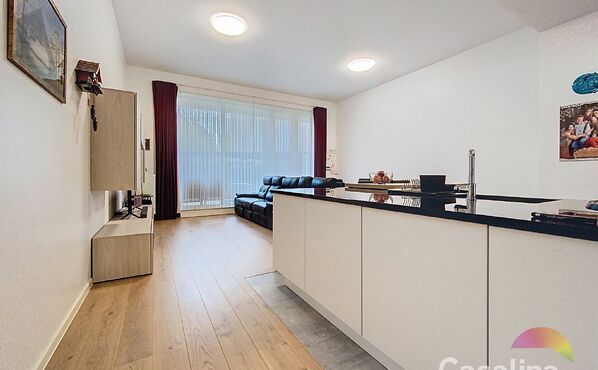 Ground floor with garden for rent in Evere