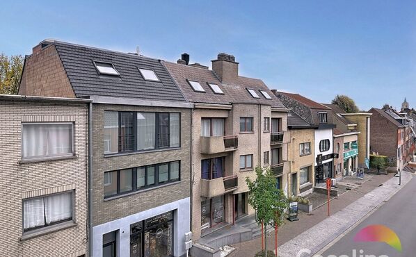 Immeuble mixte à vendre à Ternat